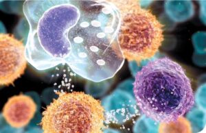 Métodos Diagnósticos en Tuberculosis; lo convencional y los avances tecnológicos en el siglo XXI