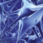 Anticuerpos antigangliósidos: Utilidad diagnóstica en neuropatías inflamatorias