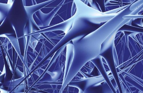 Anticuerpos antigangliósidos: Utilidad diagnóstica en neuropatías inflamatorias