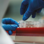 Implementación de un Sistema de Gestión de la Calidad en la Unidad de Diagnóstico de Virología Animal