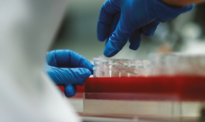 Implementación de un Sistema de Gestión de la Calidad en la Unidad de Diagnóstico de Virología Animal