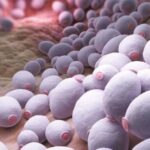 Frecuencia del género Candida en vagina de mujeres en edad reproductiva