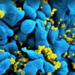 Árbol de decisión para la determinación precisa del momento de la infección en individuos recientemente diagnosticados con infección por VIH-1