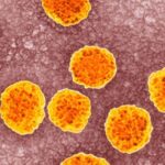 Detección de anticuerpos contra el virus de la hepatitis C en donantes de sangre voluntarios