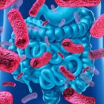 Caracterización molecular de Beta-lactamasas de espectro extendido en cepas de Escherichia coli causantes de infección urinaria en pacientes inmunocomprometidos.