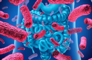 Caracterización molecular de Beta-lactamasas de espectro extendido en cepas de Escherichia coli causantes de infección urinaria en pacientes inmunocomprometidos.