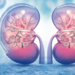 Comparación de las fórmulas Cockcroft-Gault y MDRD con la depuración de la creatinina endógena para la estimación de la función renal en pacientes adultos ambulatorios atendidos en un hospital de referencia peruano