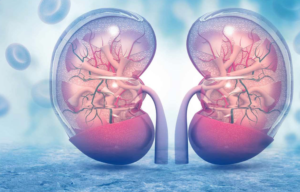 Comparación de las fórmulas Cockcroft-Gault y MDRD con la depuración de la creatinina endógena para la estimación de la función renal en pacientes adultos ambulatorios atendidos en un hospital de referencia peruano