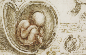 Diagnóstico prenatal de malformaciones congénitas y alteraciones cromosómicas: resultado de la experiencia CIMAF - Hospital Dr. Sótero Del Río ARTÍCULO DE INVESTIGACIÓN