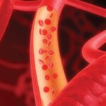 Utilidad de la hemoglobina glucosilada como indicador de la función renal en adultos mayores diabéticos y no diabéticos
