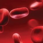 Síndrome hemofagocítico adquirido: reporte de casos de cuatro pacientes adultos tratados con protocolo HLH 94-04 y revisión de la literatura