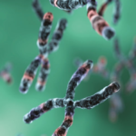 Conocer nuestros 25.000 genes, un nuevo horizonte diagnóstico