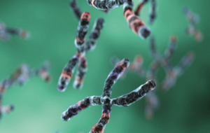 Conocer nuestros 25.000 genes, un nuevo horizonte diagnóstico