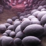 Evaluación del rendimiento de 1,3-Beta-dglucano como apoyo diagnóstico de infecciones invasoras por Candida spp. en pacientes críticos adultos