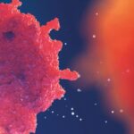 Inmunoterapia contra el cáncer: identificación de genes esenciales