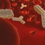 Deficiencia de anticuerpos específicos: inmunodeficiencia primaria asociada a alergia respiratoria
