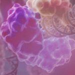 La Biología Molecular en la precisión diagnóstica de las Leucemias