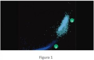 Células nucleadas de la serie roja y reticulocitos: utilidad en el laboratorio clínico