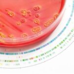 Capacidad de los laboratorios nacionales de referencia en Latinoamérica para detectar mecanismos de resistencia emergentes