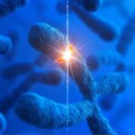 Citogenética humana: del microscopio al microchip