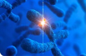 Citogenética humana: del microscopio al microchip