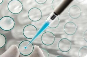 Helicobacter pylori: una puesta al día en pediatría