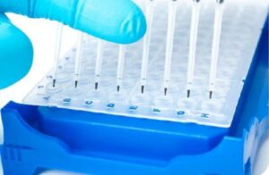 Implicaciones en la atención primaria en salud de la genética y genómica en la diabetes mellitus tipo 2