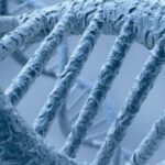 Estudio molecular de las formas familiares del síndrome de Noonan