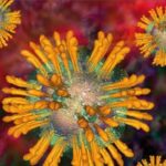 Hepatitis C