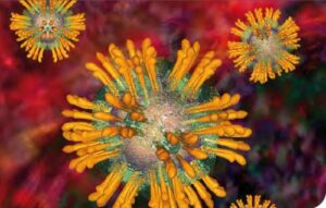 Hepatitis C