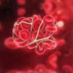 El laboratorio en Trombofilia