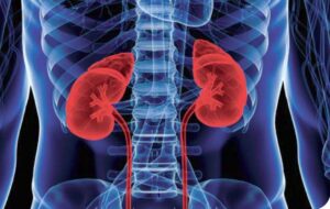 Estudio de exactitud diagnóstica que compara fosfatasa alcalina total con paratohormona intacta 1-84 para el diagnóstico de osteodistrofia renal de alto recambio en la insuficiencia renal crónica en hemodiálisis