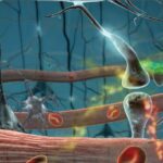 Niveles de respuesta autoinmunitaria por anticuerpos antinucleares en pacientes con infecciones virales