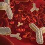 Concentración de autoanticuerpos IgG en hematíes y respuesta al tratamiento en la anemia hemolítica autoinmune