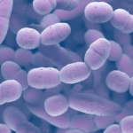 Síndrome hemolítico urémico secundario a Streptococcus pneumoniae. Reporte de un caso clínico