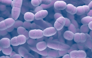 Síndrome hemolítico urémico secundario a Streptococcus pneumoniae. Reporte de un caso clínico