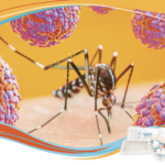 Dengue virus NS1 Ag (ELISA) de Dia.Pro: clave para la detección específica temprana