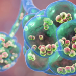 Neumonía bacteriana en niños en Ecuador: una mirada al impacto de las vacunas