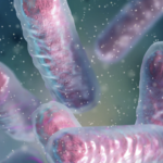 Ceftazidima/avibactam frente a otros antimicrobianos para el tratamiento de bacteriemias por Enterobacterales productores de carbapenemasa KPC: datos de la vida real en un hospital universitario de Argentina
