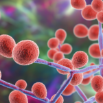 Susceptibilidad in vitro a antifúngicos de especies de Candida
