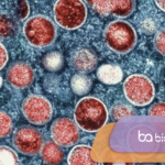 Viruela símica: la evolución viral y su impacto en el diagnóstico molecular