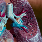 Microalbuminuria y proteína C reactiva ultrasensible como potenciales biomarcadores de inflamación sistémica en pacientes con Enfermedad Pulmonar Obstructiva Crónica