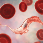 Concordancia entre una prueba in-house de inmunofluorescencia indirecta y un test comercial de hemoaglutinación indirecta para la detección de anticuerpos anti-Trypanosoma cruzi