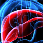 Biomarcadores séricos para la evaluación de la fibrosis hepática  