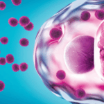 Detección de ADN del gen ompA de Chlamydia trachomatis en orina mediante amplificación isotérmica mediada por bucle (LAMP)