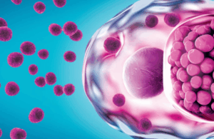 Detección de ADN del gen ompA de Chlamydia trachomatis en orina mediante amplificación isotérmica mediada por bucle (LAMP)