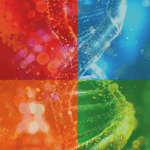 Cuatro virus respiratorios en una sola reacción de Real-Time PCR: la solución de Vircell